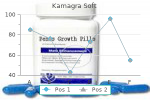 generic kamagra soft 100 mg visa